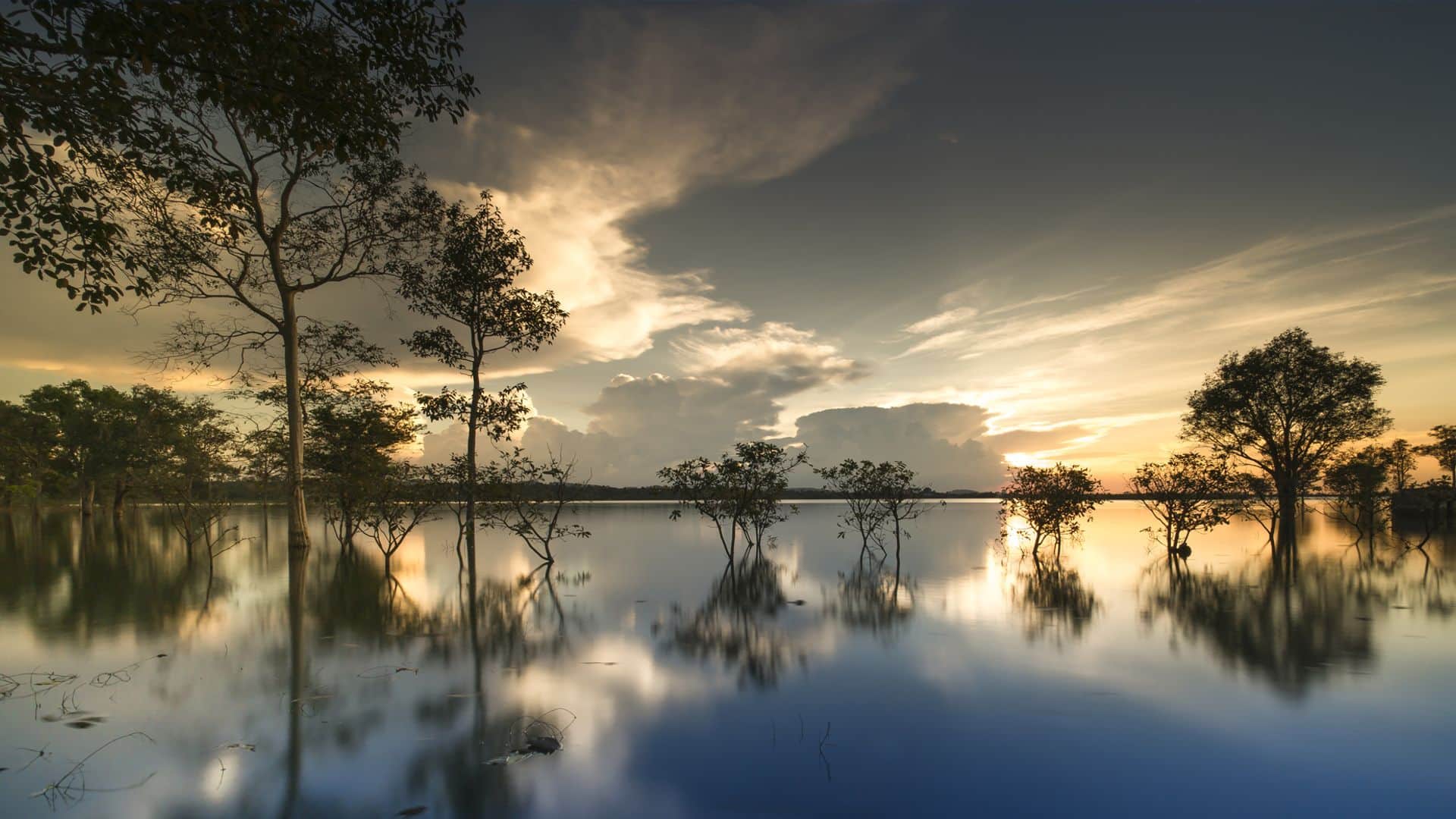 ដំណឹងល្អនៃព្រះយេស៊ូវគ្រីស្ទ