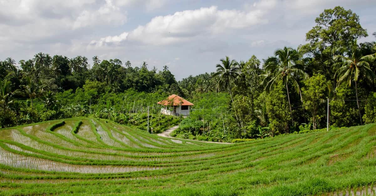 រាល់​តម្រូវការ