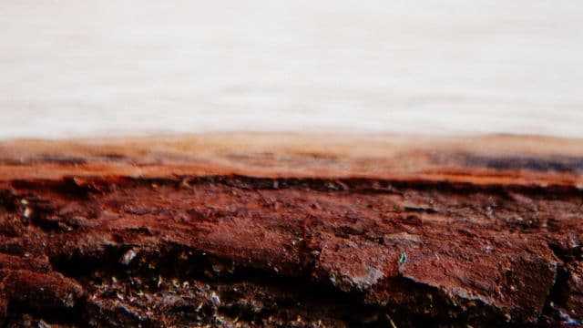 ព្រះ​ទ្រង់​ជា​បន្ទាយ​