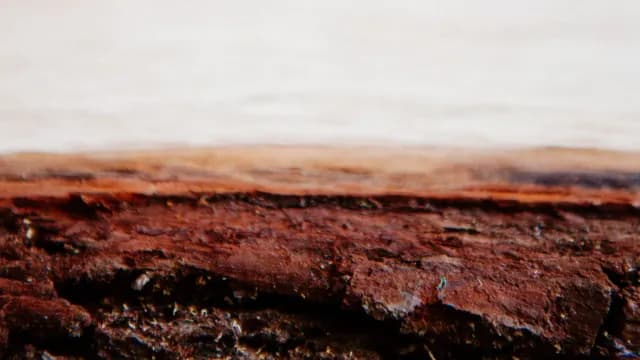 ព្រះ​ទ្រង់​ជា​បន្ទាយ​