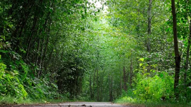 កាន់តែចំណាយពេល