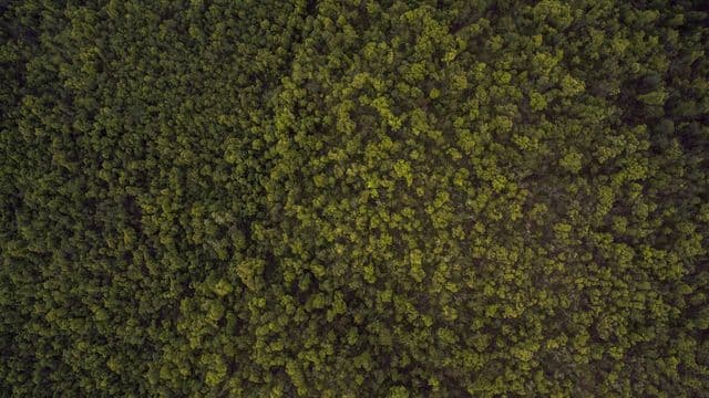 ​តាម​រយៈ​ព្រះ​គុណ​ដោយ​ជំនឿ
