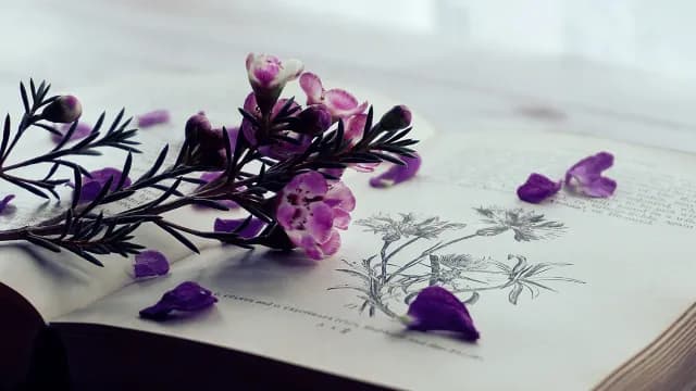 គ្រូ​ខុស​ឆ្គង