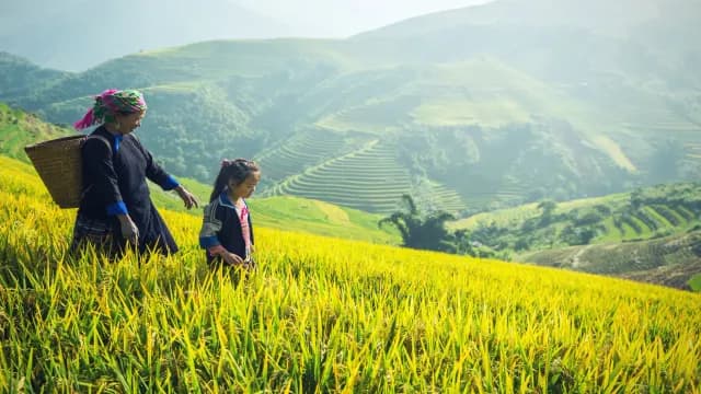 រក​ពេល​អាន​ព្រះ​គម្ពីរ សម្រាប់​ម្ដាយ​ដែល​រវល់