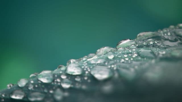 ទឹក​ភ្លៀង​ជ្រាប​