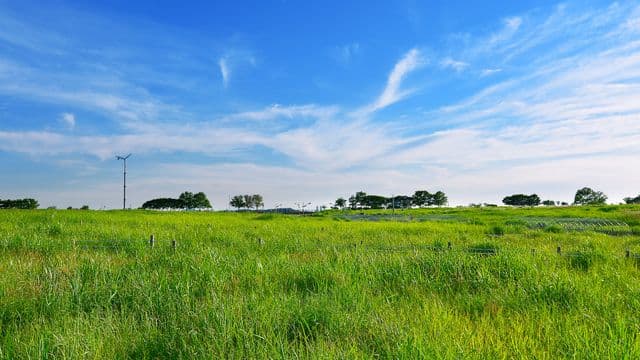 ពី​អនាគត