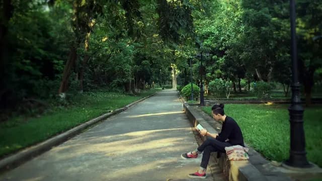 ការ​កាត់ស្រាយ