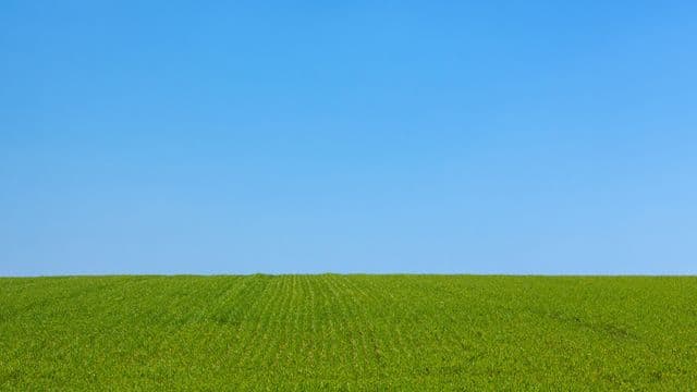 បាន​ស្រឡាញ់​យើង