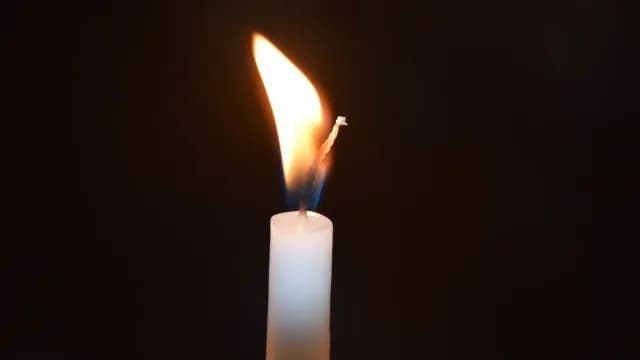 ​មាន​ជីវិត