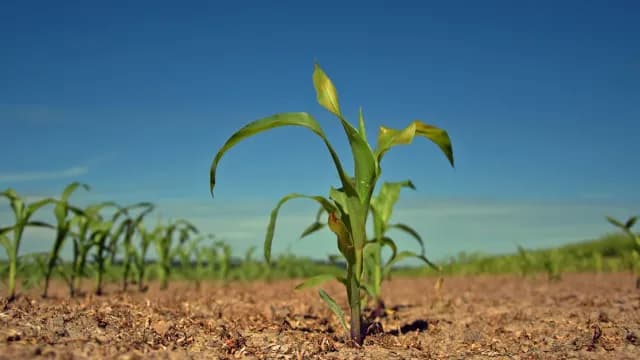ជឿ​លើ​ខ្ញុំ
