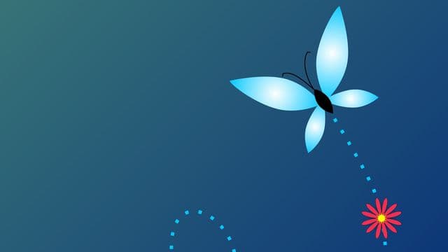 ព្រះគុណល្អឥតខ្ចោះ
