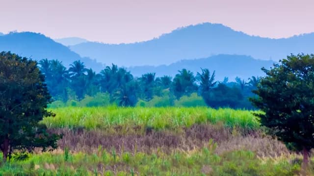សេចក្តីស្មោះត្រង់របស់ទ្រង់ធំណាស់