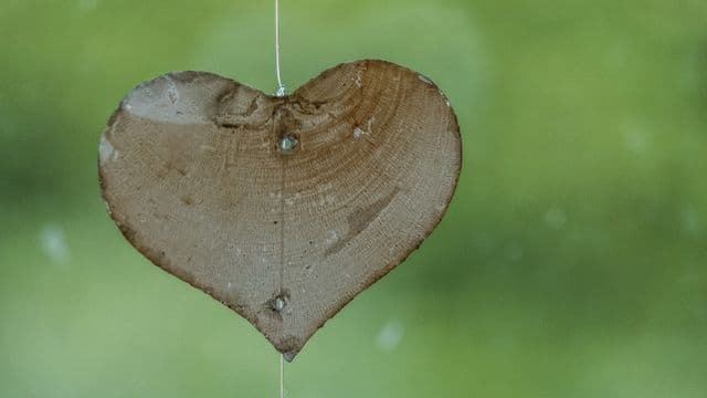 ក្ដី​ស្រឡាញ់​ពិត
