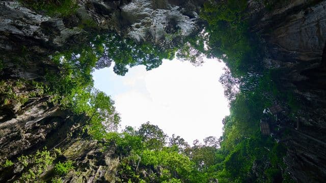 ចង់​ស្គាល់​ខ្លួន​ឯង