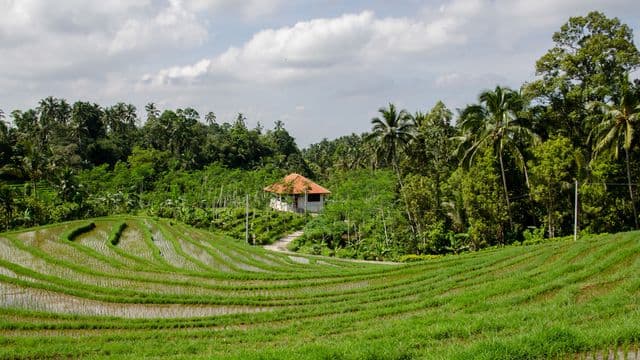 រាល់​តម្រូវការ