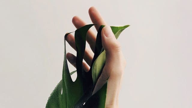 មាន​ព្រះ​តែ១
