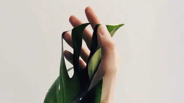 មាន​ព្រះ​តែ១