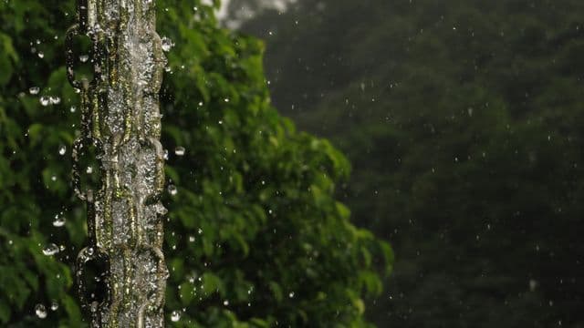 បាន​បង្កើត​
