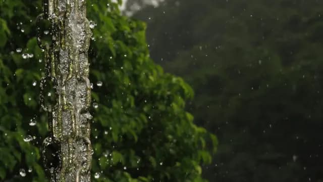 បាន​បង្កើត​