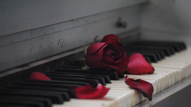 ថ្វាយបង្គំពេលខូចចិត្ត