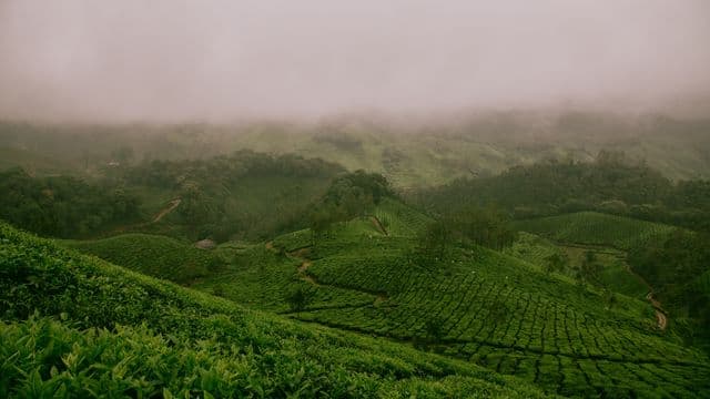 ការ​សម្រេច