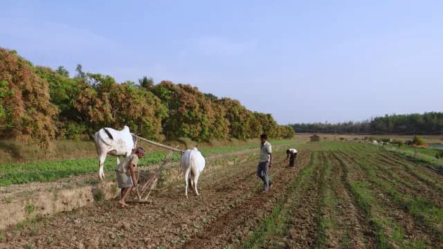 បុរសគិតងាយ