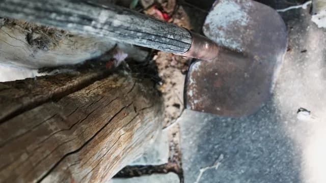ចំណាប់​អារម្មណ៍​