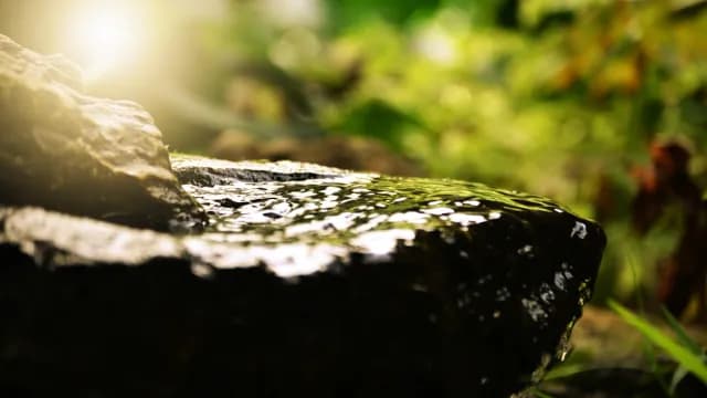 បល្ល័ង្គរាជ្យ