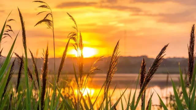 ក្តី​សង្ឃឹម