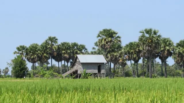 គ្រប់ទាំងផ្ទះ