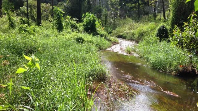 អារម្មណ៍