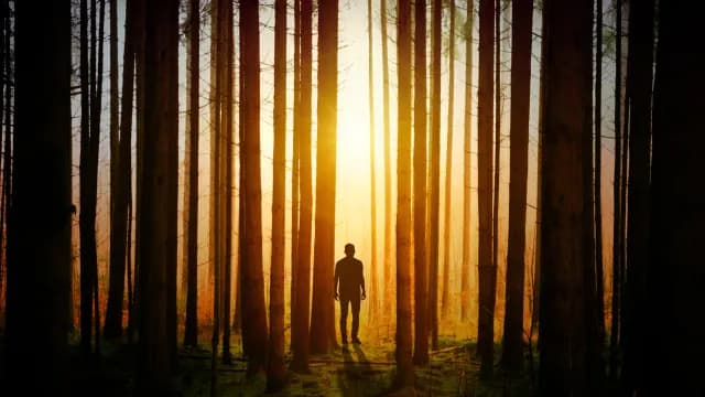 មានពន្លឺ