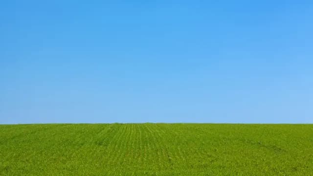 បានស្រឡាញ់យើង