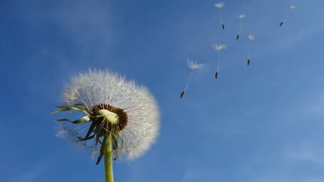 ស្គាល់ព្រះ