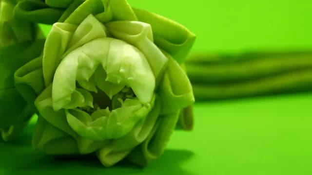 ការបន្ទាបខ្លួន